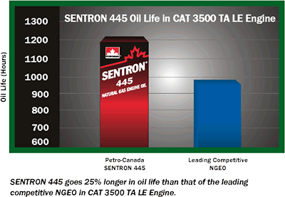 s445_cat3500tale